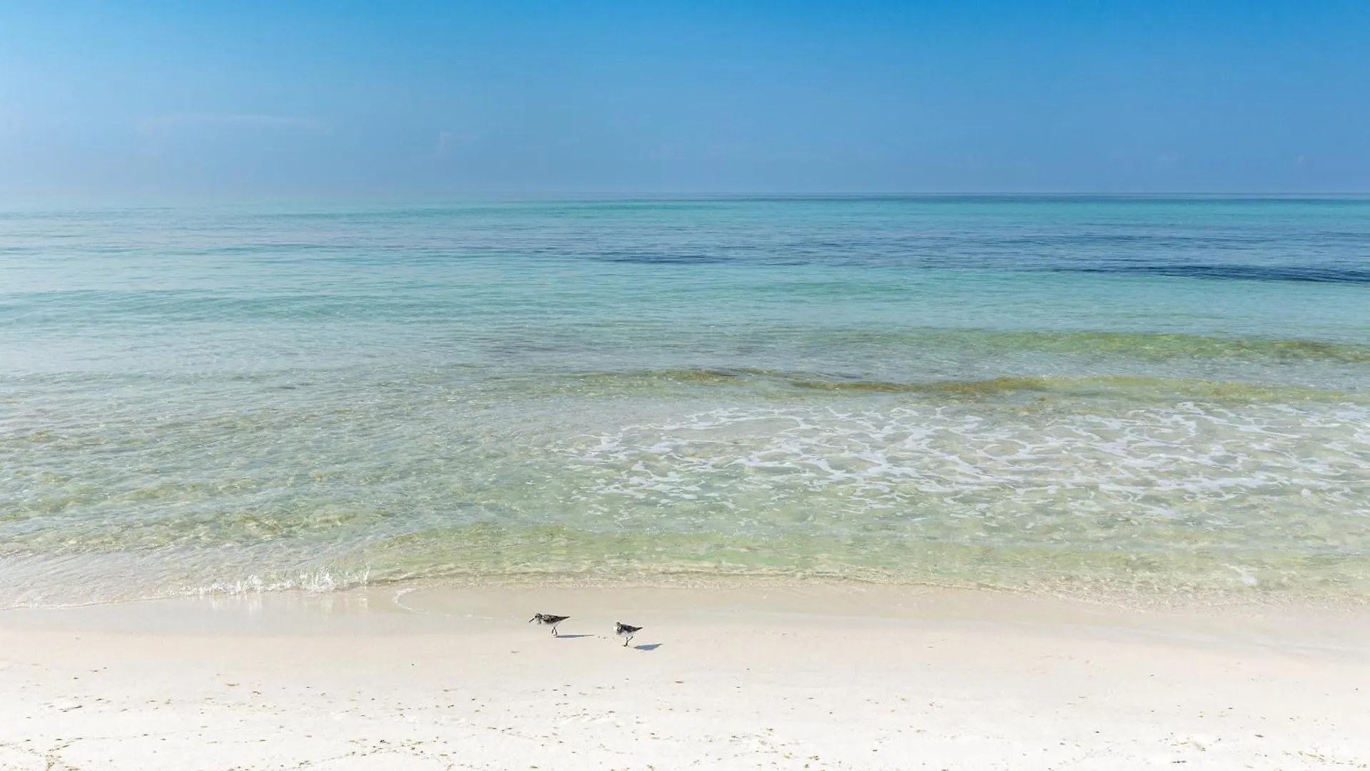 Apartment Beach House 505B Destin